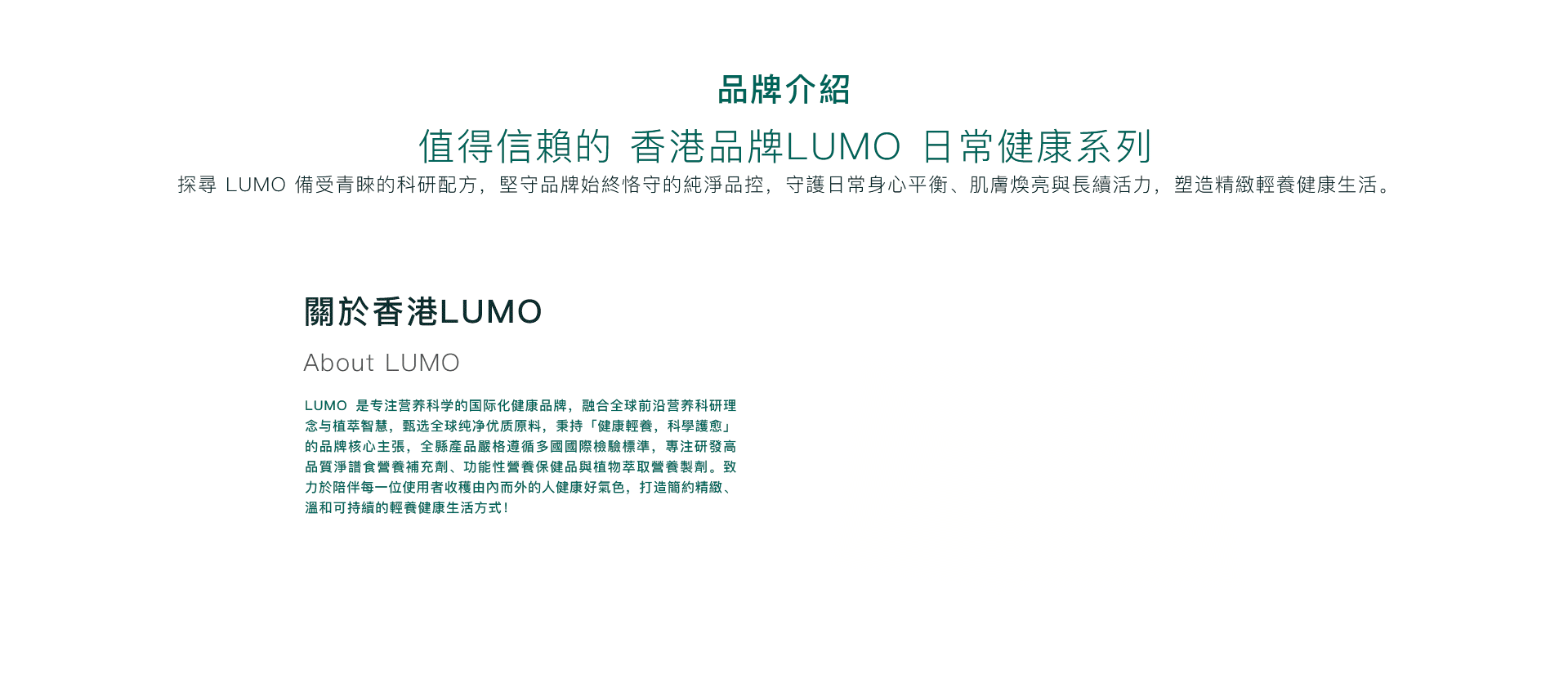 LUMO 首页品牌介绍分区